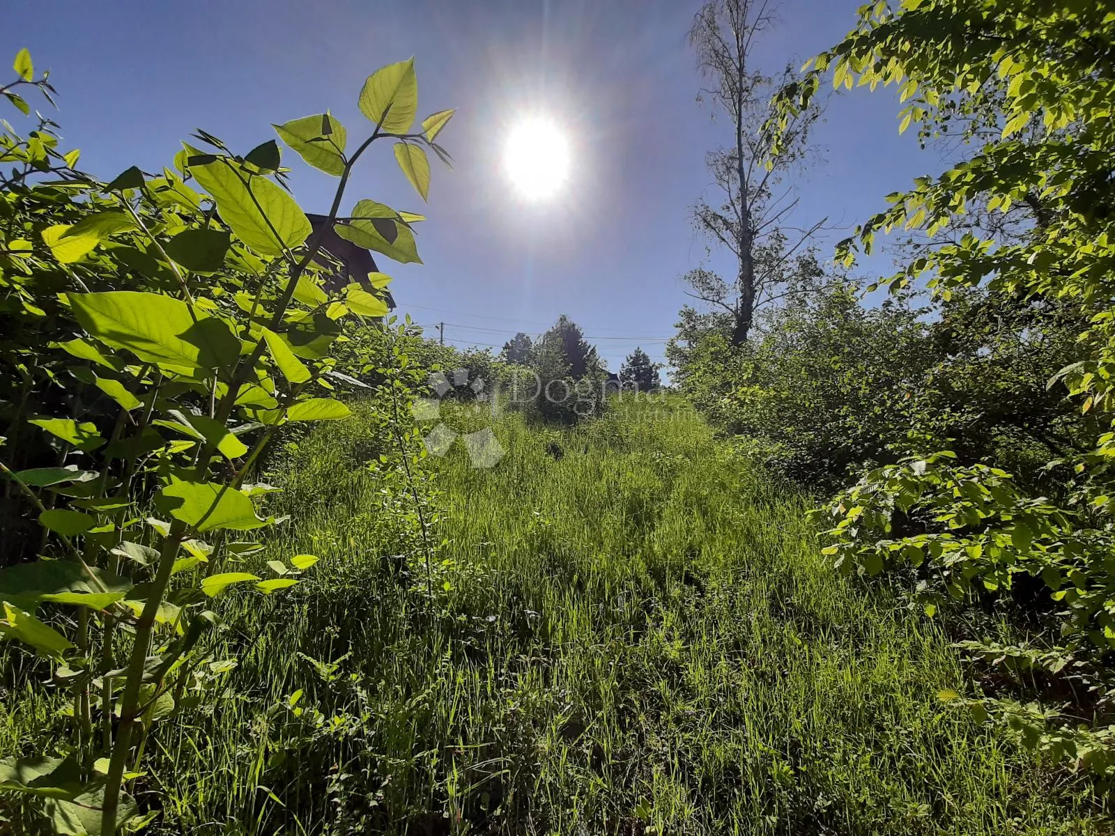 građevinsko zemljište, zeleni brijeg, novaki, 808 m2 - slika 6