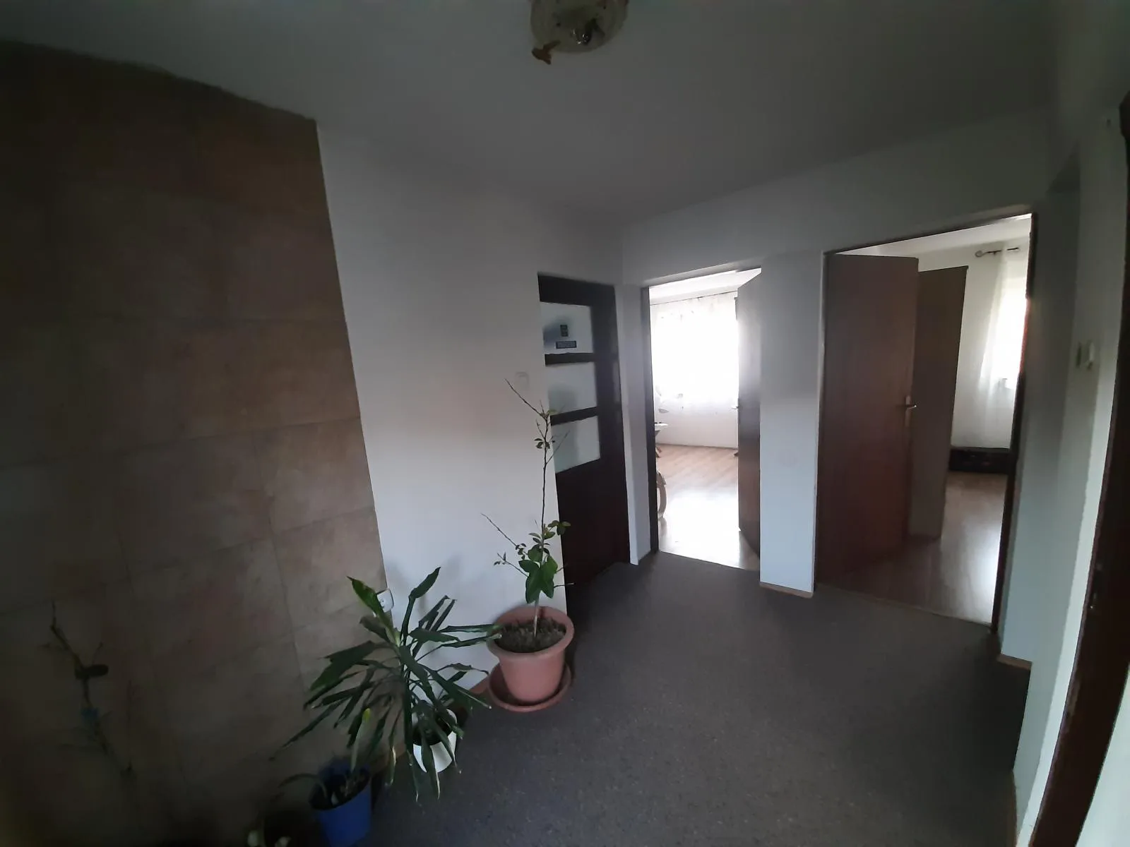 kuća uz park prirode medvednica – 650 m² mira i zelenila - slika 18