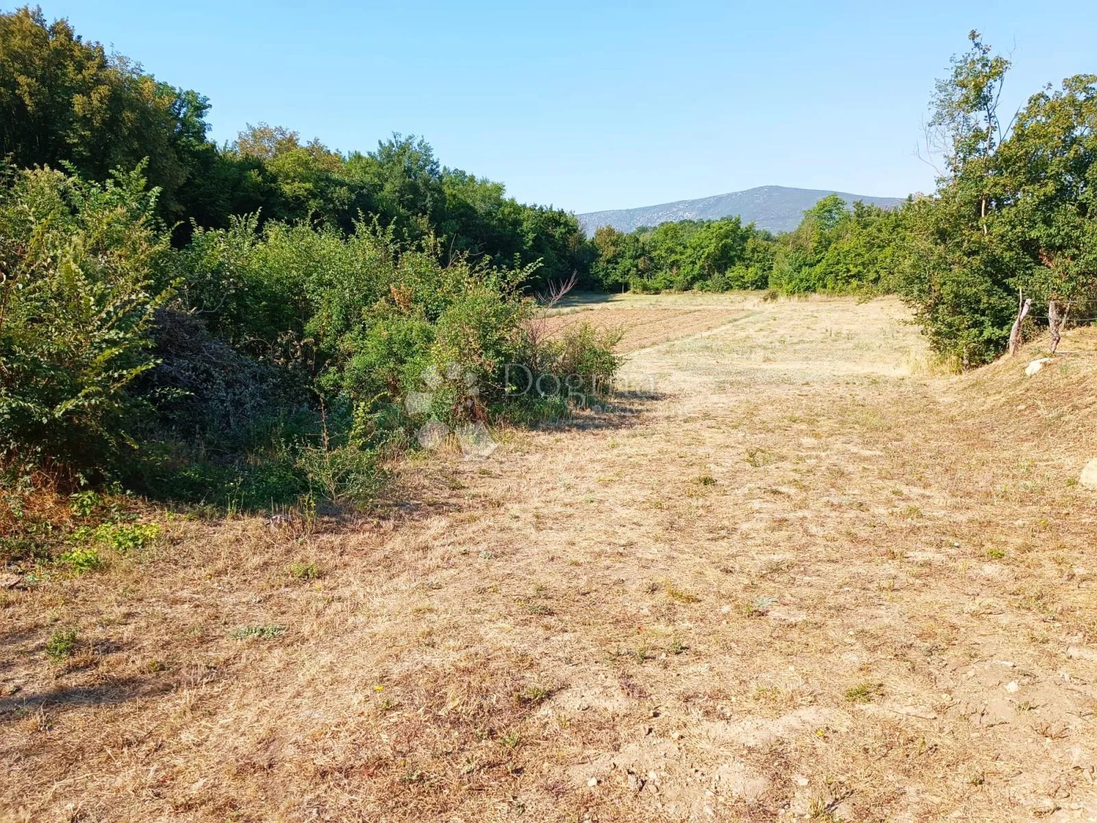 seosko imanje - kamena kuća za adaptaciju, glavice - slika 7