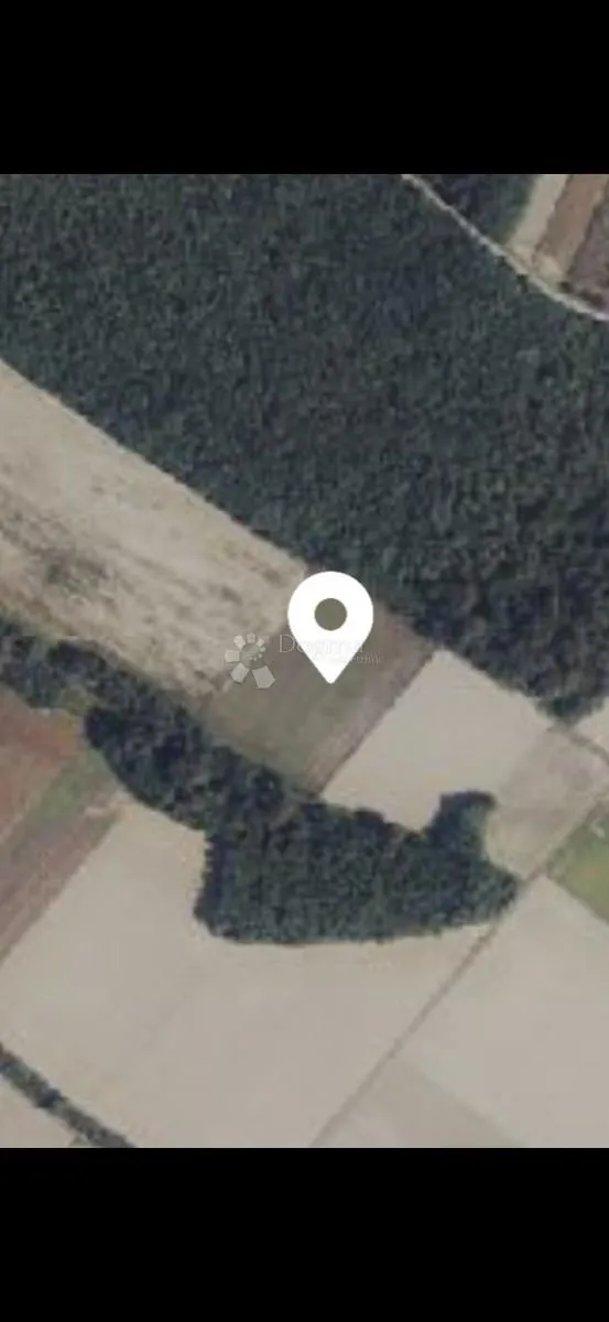 nasad oraha 15.000 m² – odlična investicija - slika 3
