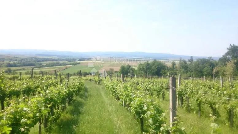 kutjevo - bajkovito imanje velikog potencijala - slika 2