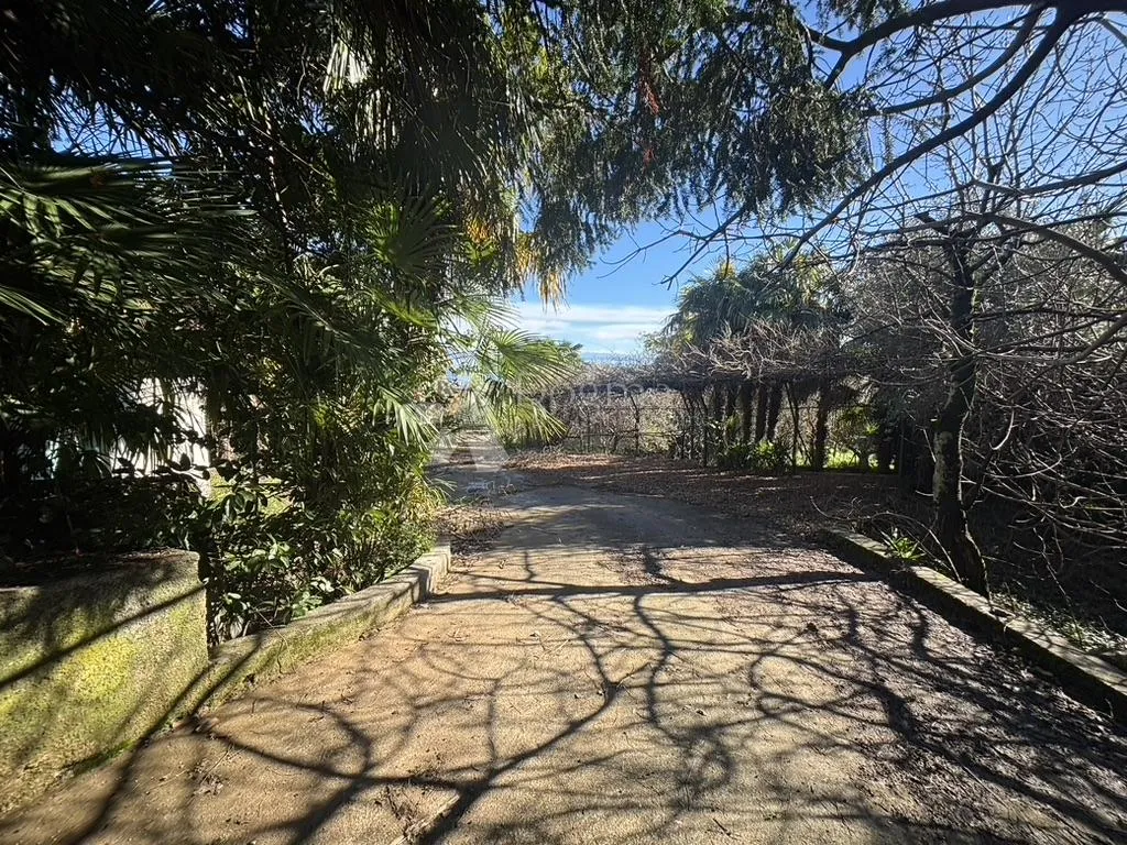 ika, kuća s 1900 m2 okućnice - slika 3