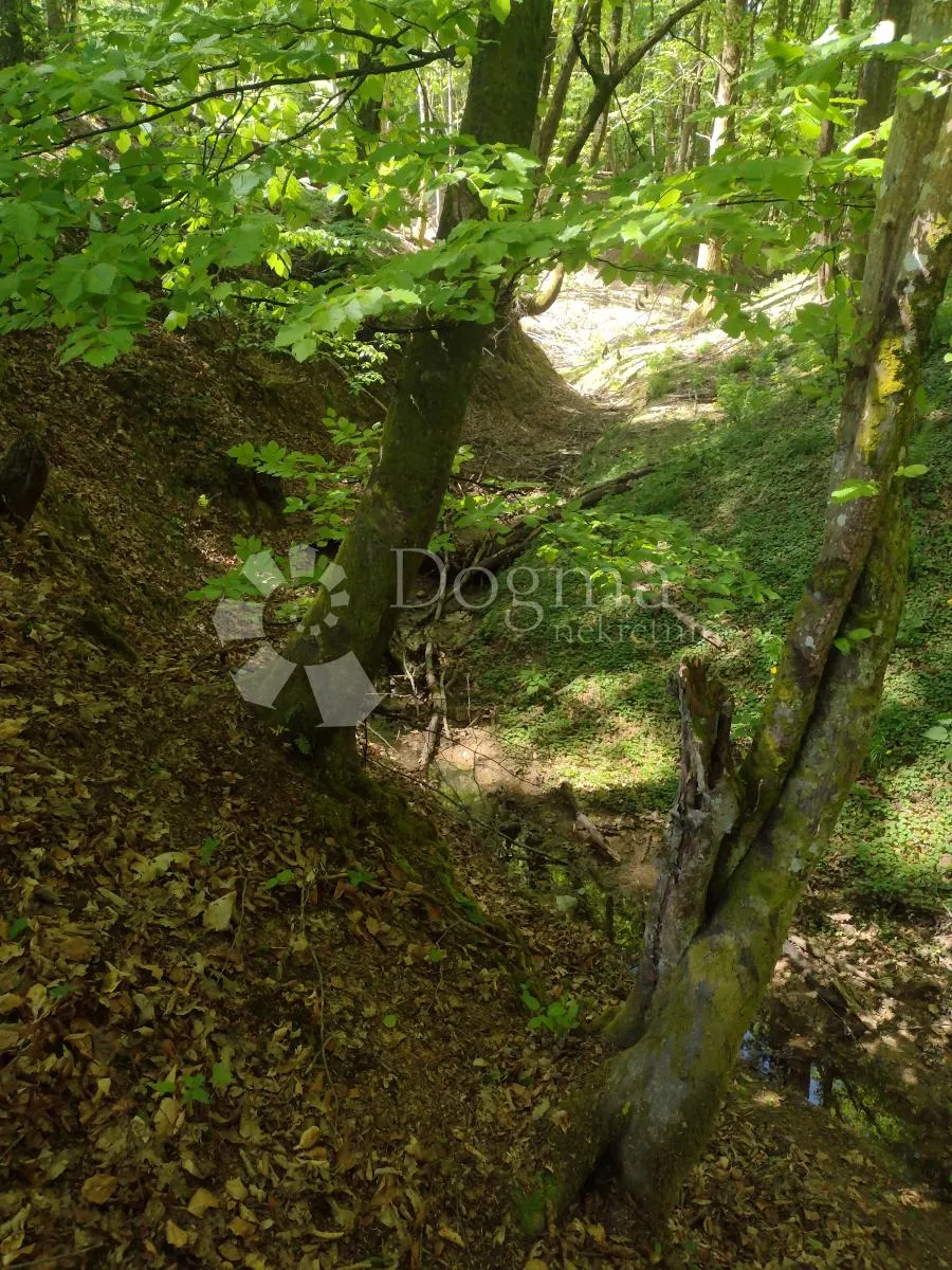 započeta gradnja na osami, izvor, 4ha - slika 5