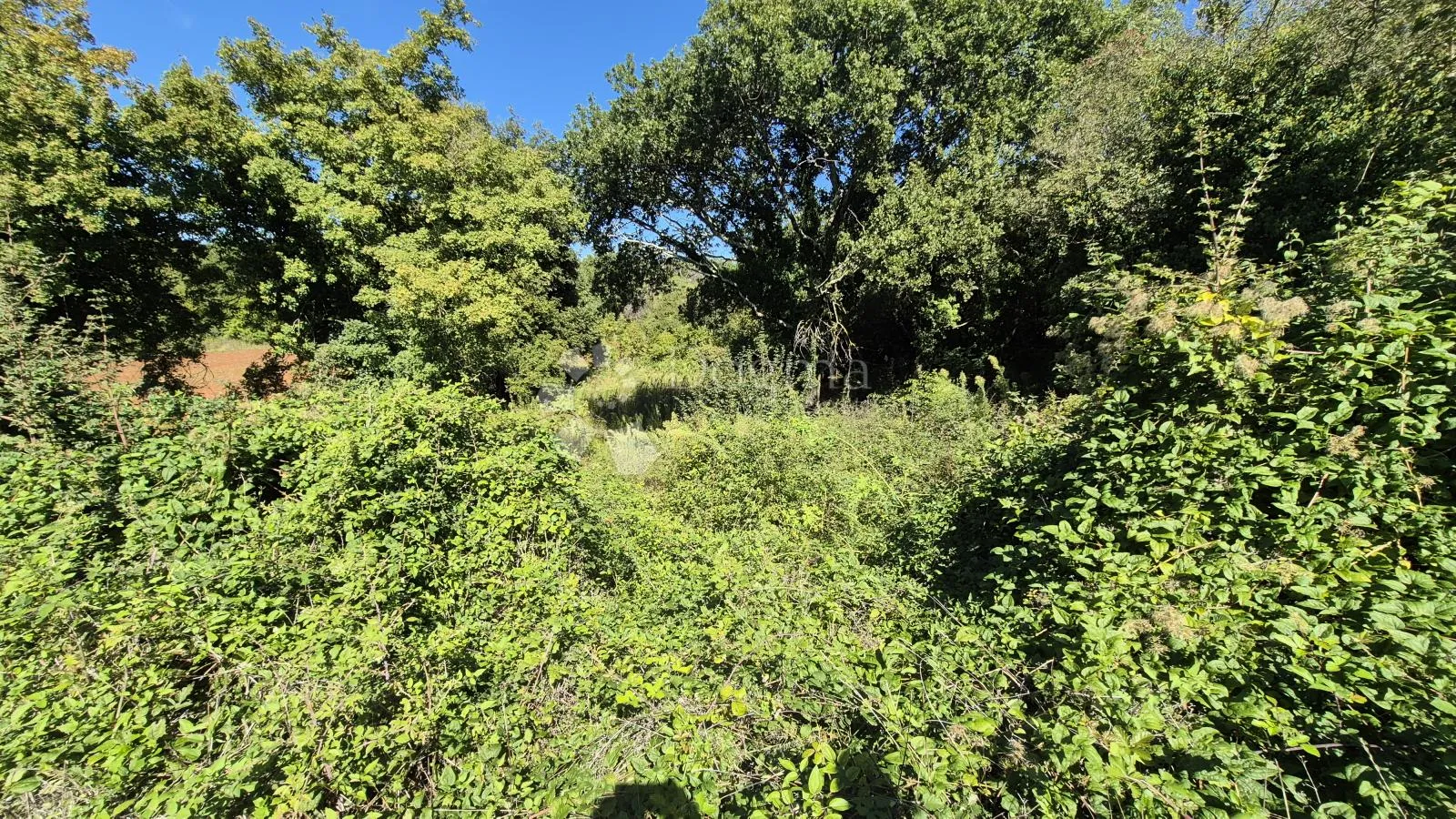 prodaje se poljoprivredno zemljište površine 1636 m2 u cukrićima - slika 7