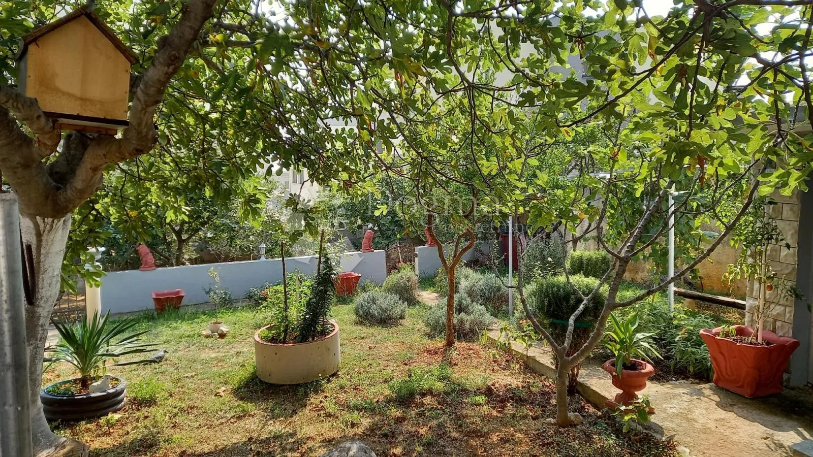 apartmanska kuća sa velikom okućnicom - slika 4
