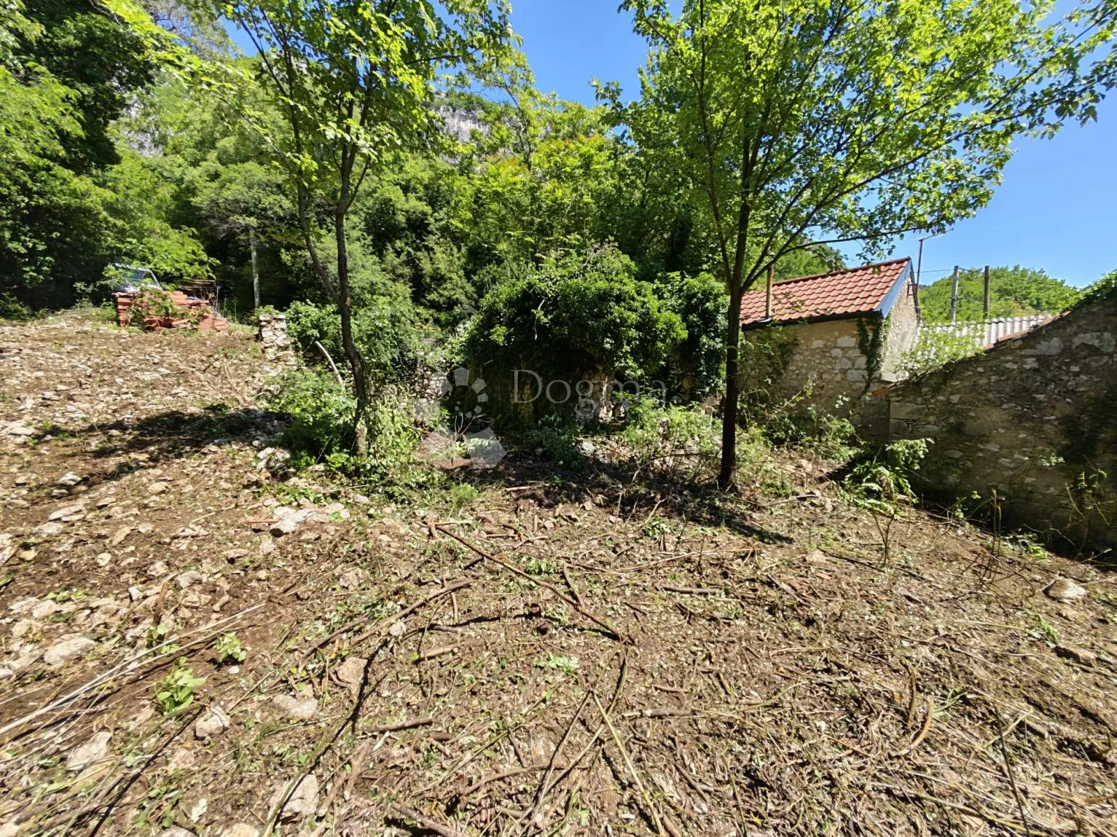 starina za potpunu adaptaciju - slika 5