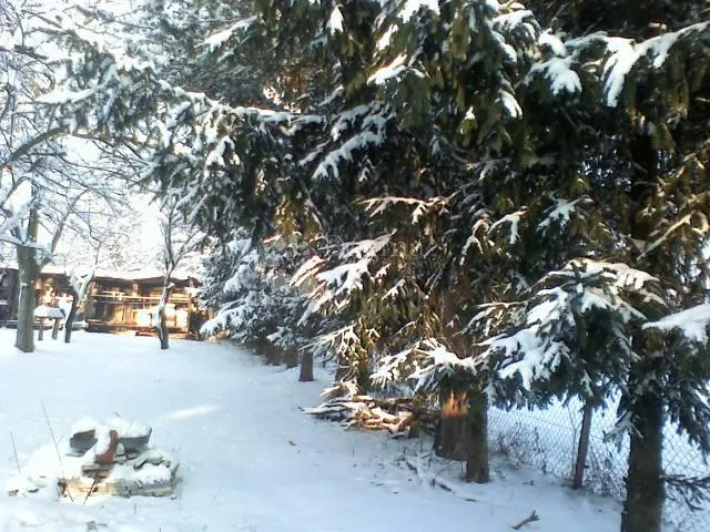 renovirana kuća s panoramskim pogledom na ivančicu - slika 3