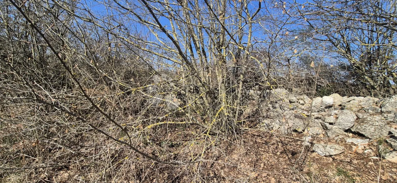 idealno zemljište za poljoprivredne kulture 5367 m2 - slika 13