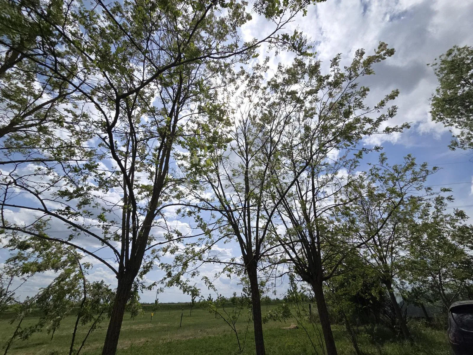 održavan voćnjak s bunarom – 6.494 m² - slika 11