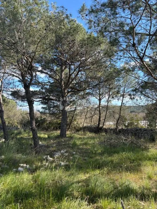 građevinsko zemljište – dubrava kod šibenika, 4.395 m² - slika 3
