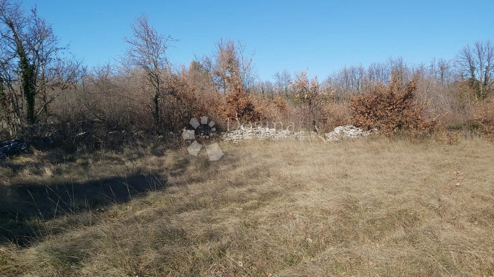 poljoprivredno zemljište šajini - slika 4
