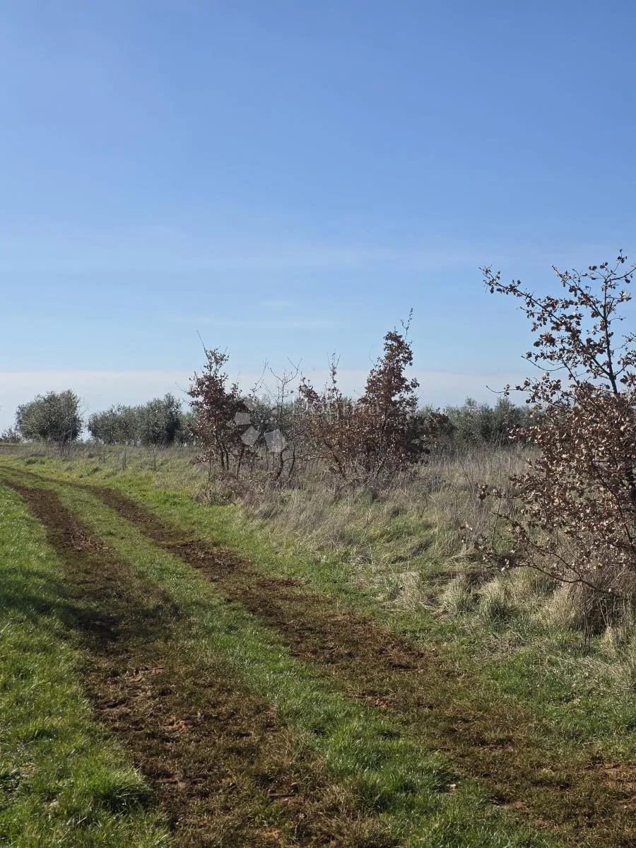 atraktivno građevinsko zemljište u kašteliru – 1.200 m² - slika 6