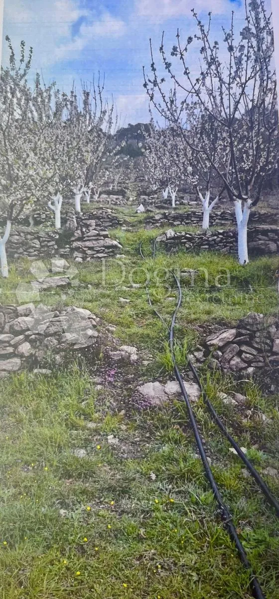 građevinsko zemljište sa dozvolom tugare - slika 3