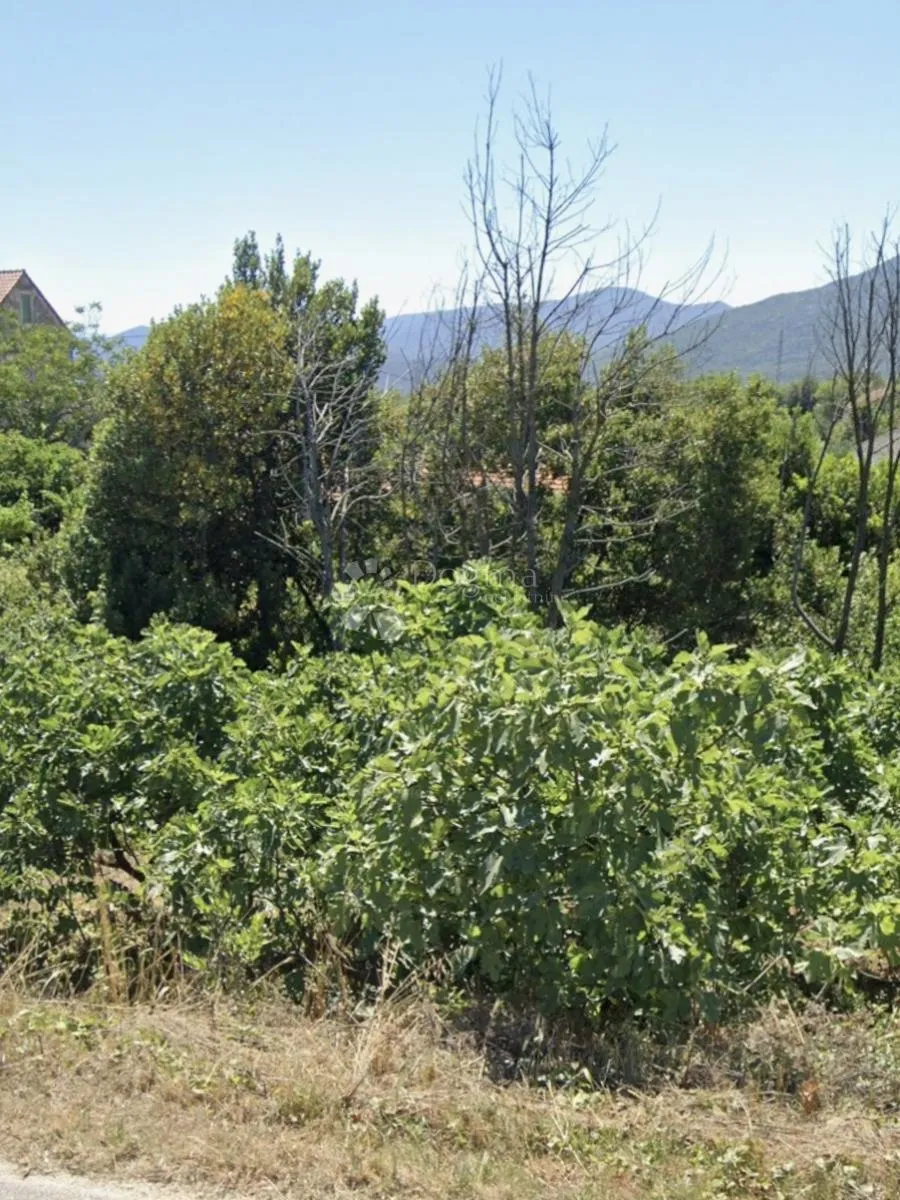 zemljište s dozvolom, janjina, pelješac - slika 4