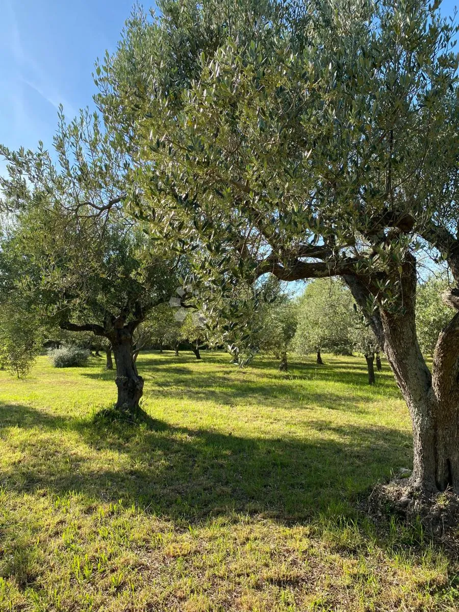 vaš privatni dašak mediterana nadomak centra peroja i plaže - slika 21