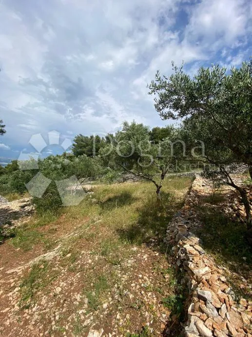 čiovo slatine 538m2 sa legaliziranim objektom - slika 2