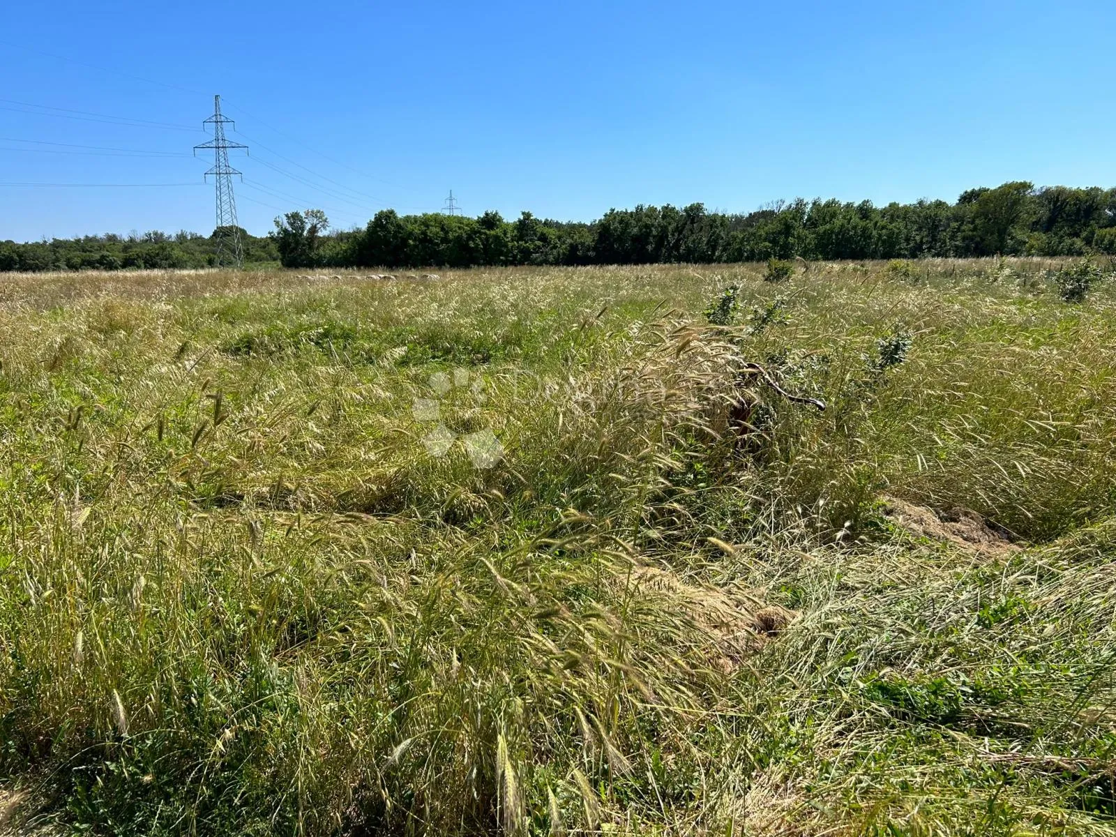 poljoprivredno zemljište u puli, busoler - 1290m2 - slika 2
