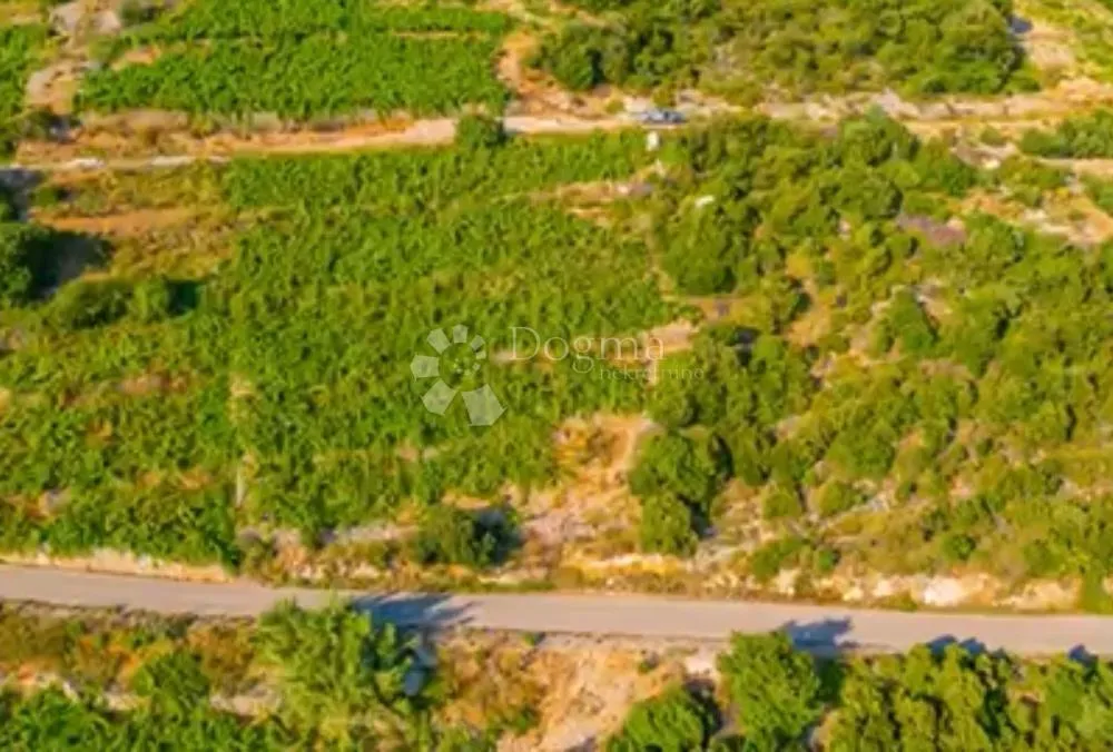 investicijska prilika - opg u rajskim vinogradima - slika 2