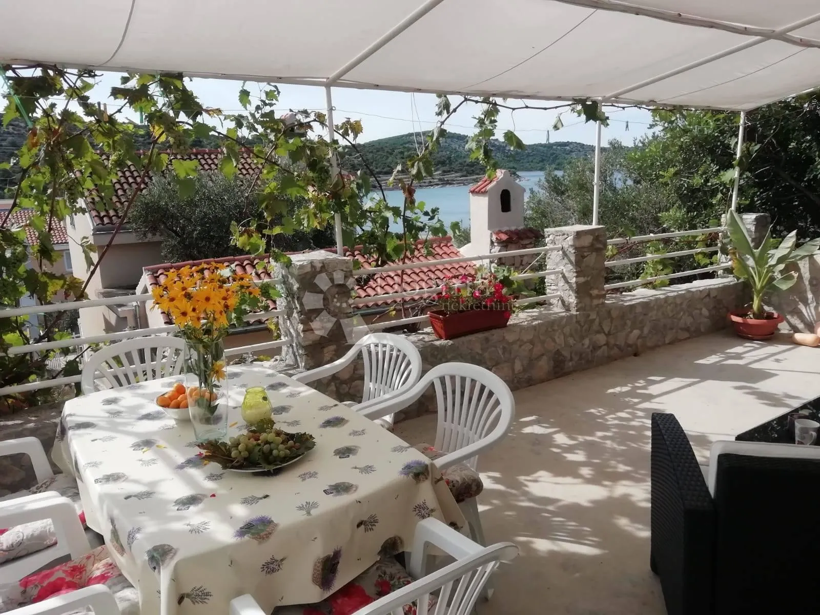 otok kaprije – višestambena kuća s velikom okućnicom i pogledom na more - slika 3
