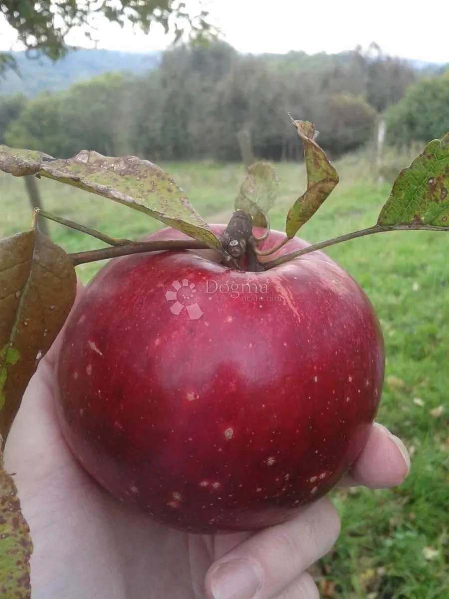 savršena kuća za odmor u srcu prirode - slika 9