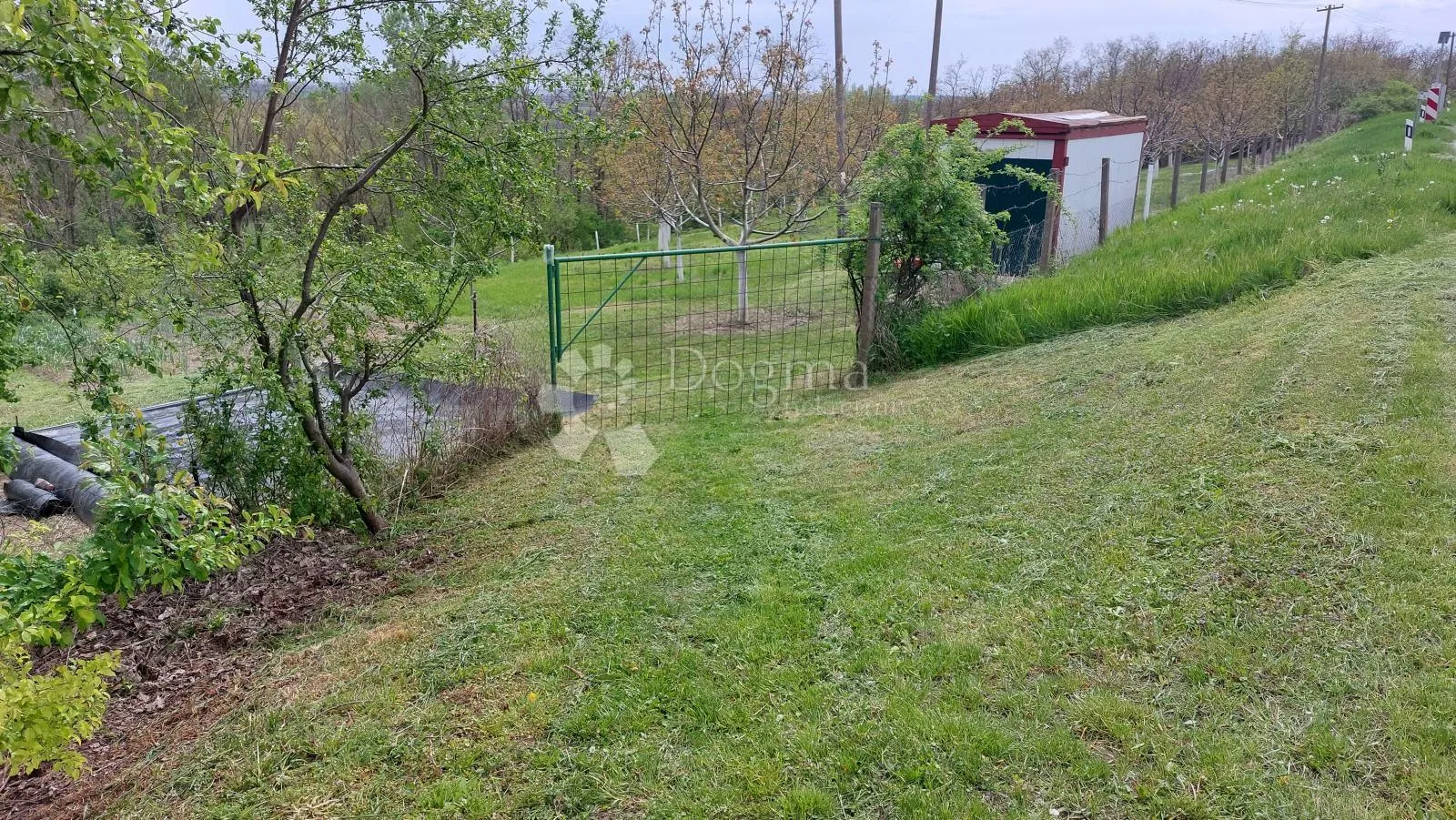 ograđen voćnjak s nasadom oraha i lješnjaka! - slika 7