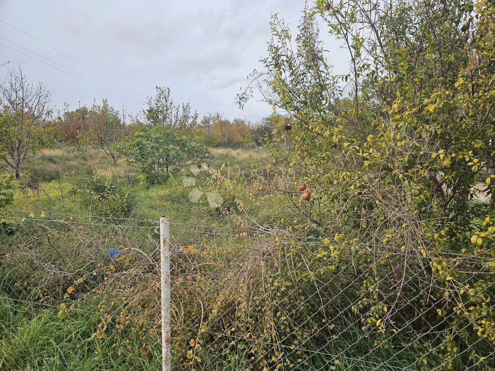 građevinsko zemljište u polači – vaša buduća investicija! - slika 4