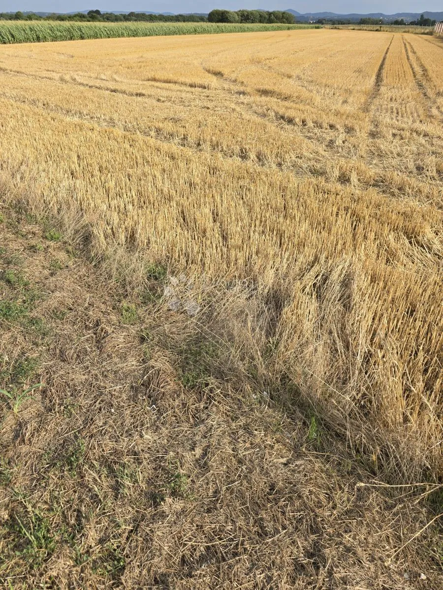 zemljište uz glavnu cestu između varaždina i trnovca – 4310 m² - slika 5
