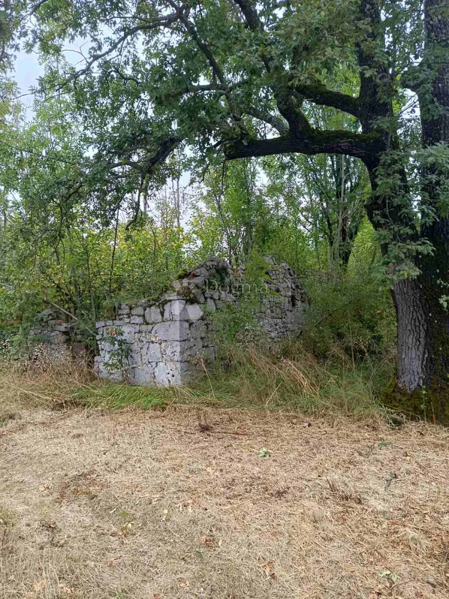 poljoprivredno / građevinsko zemljište 165 000 m2 - slika 5