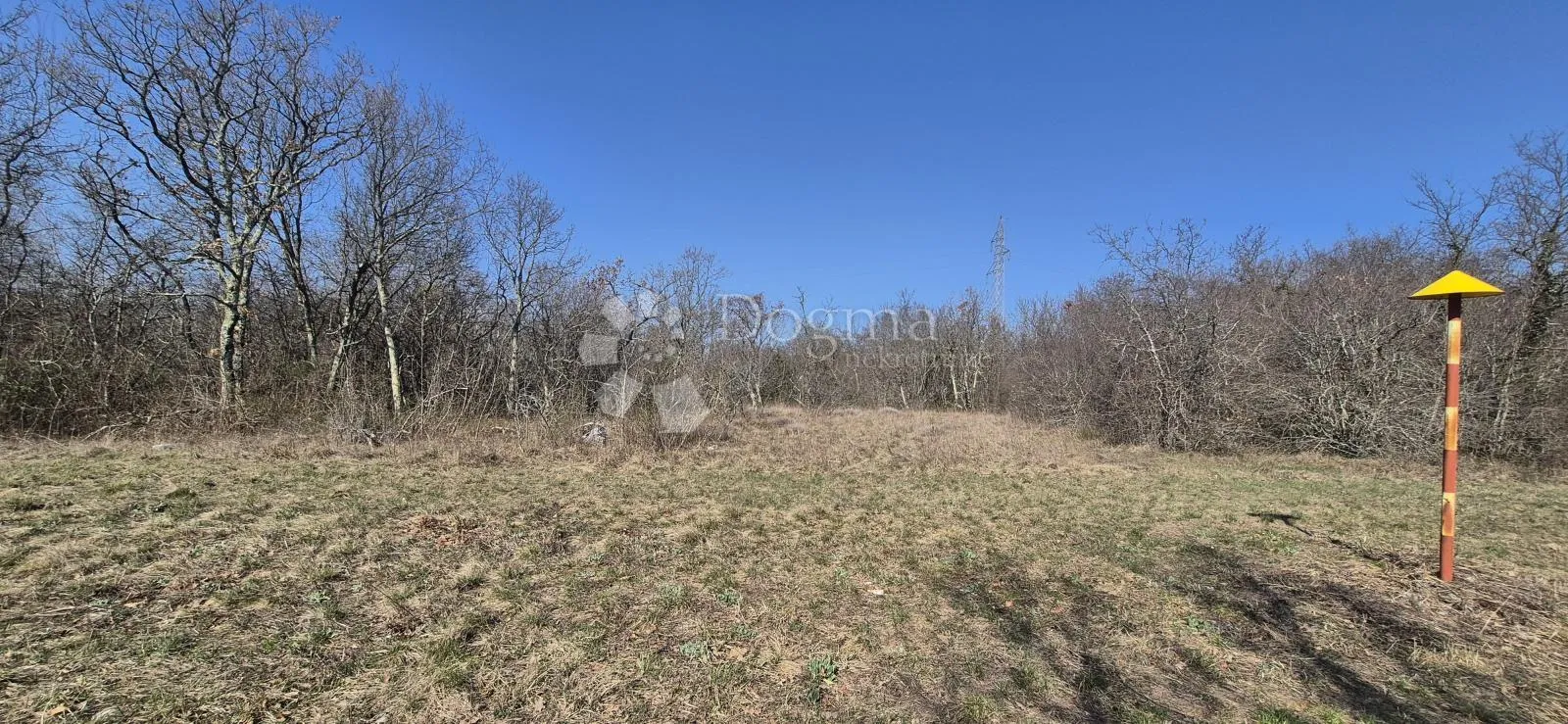 poljoprivredno zemljište 4630 m2 - slika 3