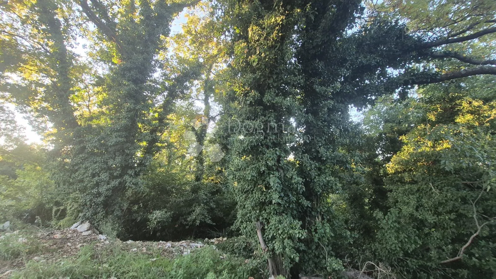 građevinsko zemljište površine 1968 m2, 2 km od mora, 80 eur/m2 - slika 11
