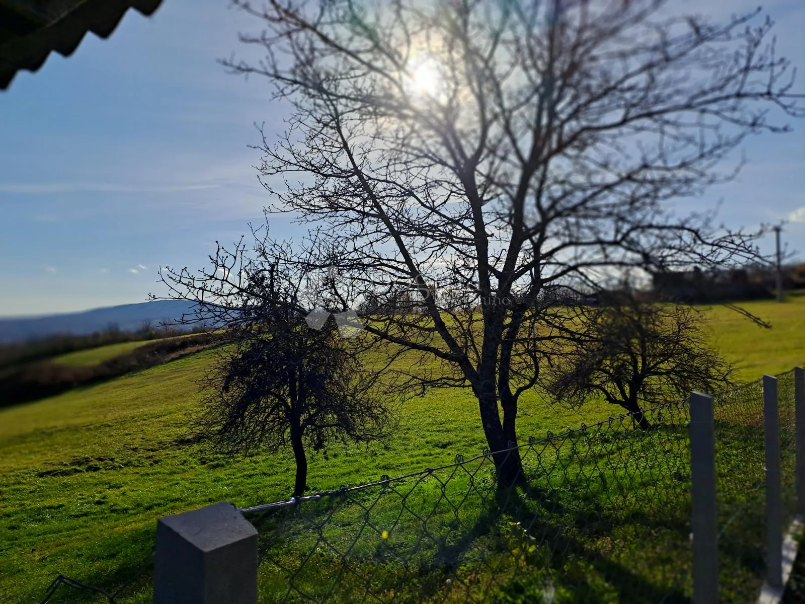 6ha u 2 komada, izuzetno uredno imanje - slika 34