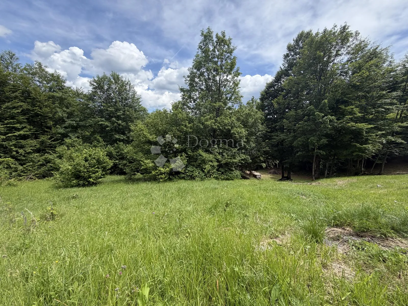 gorski kotar stari laz, građevinsko zemljište 3200m2 - slika 2