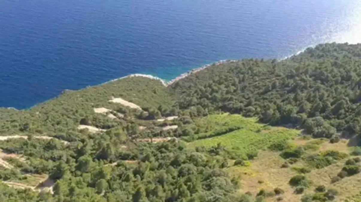 ekskluzivni vinograd dingač – pelješac - slika 3