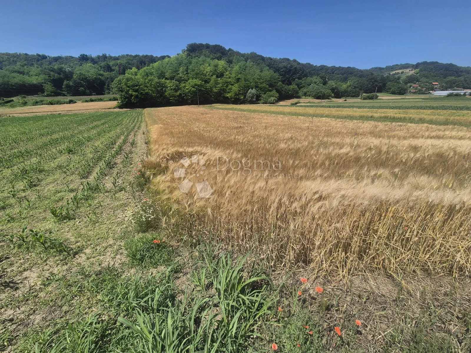 poljoprivredno zemljište 1.755m² nadomak sv. križa začretja! - slika 3