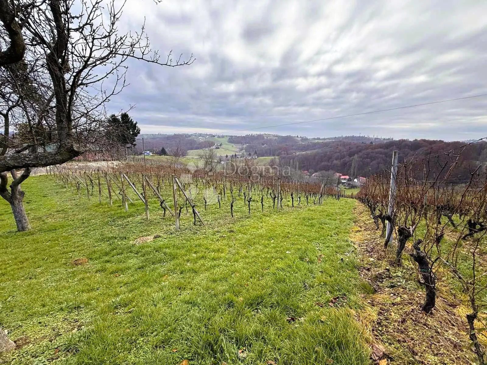 panoramski pogled, vinograd i prostor za gradnju - slika 2