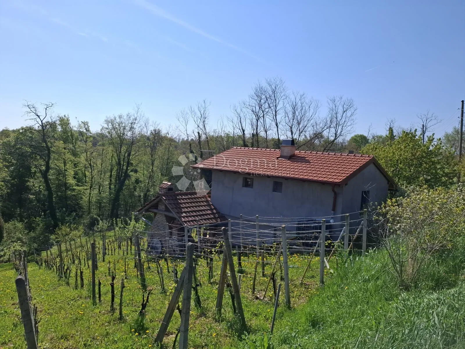 Stražinec – klet s vinogradom, voćnjakom, površine 1.200 m² - Orehovec, Sveti Petar Orehovec