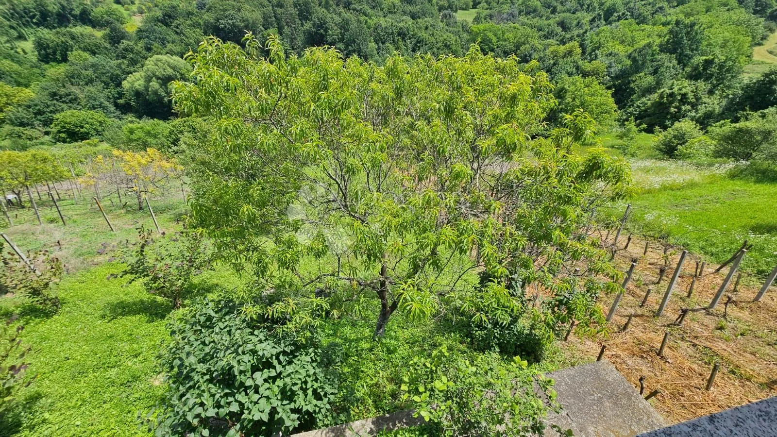 dvije kuće s pogledom u vrtlinovcu - slika 29