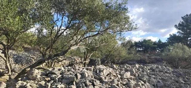 poljoprivredno zemljište na krku - slika 4