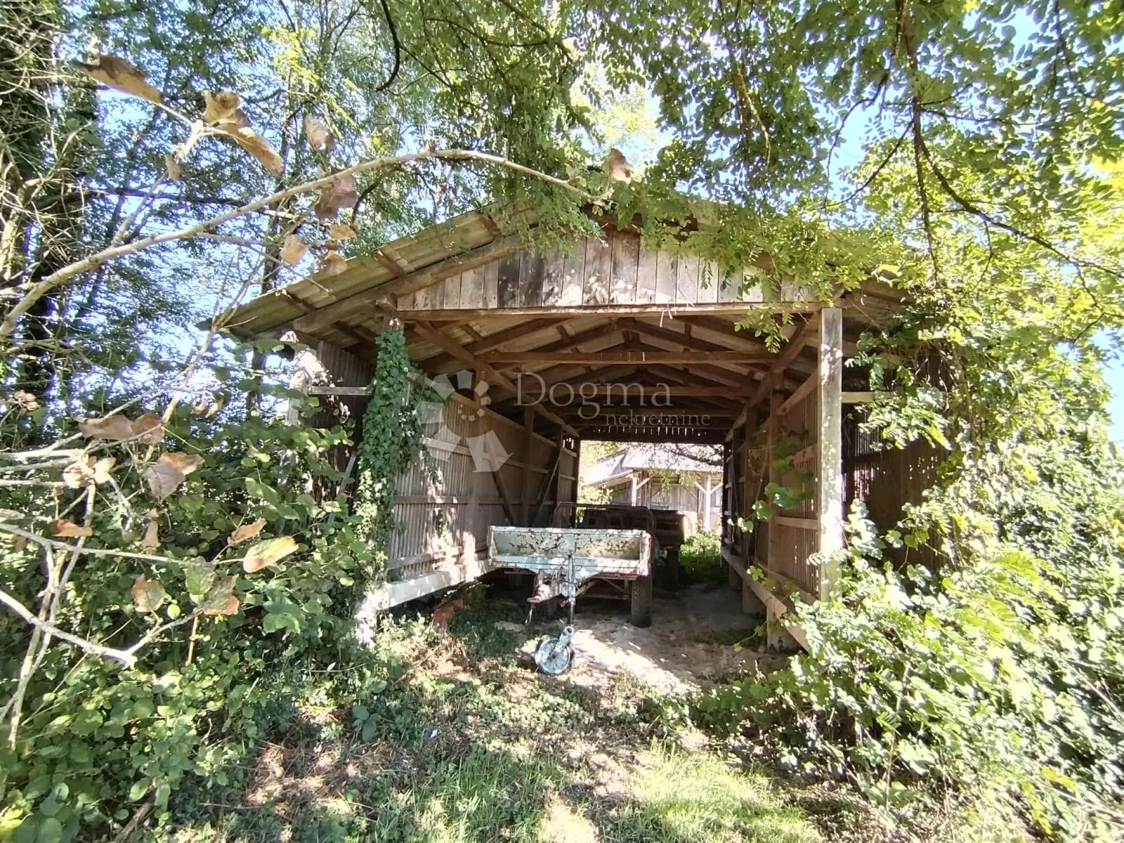 veliko imanje 39.323 m² – mir, priroda i potencijal! - slika 3