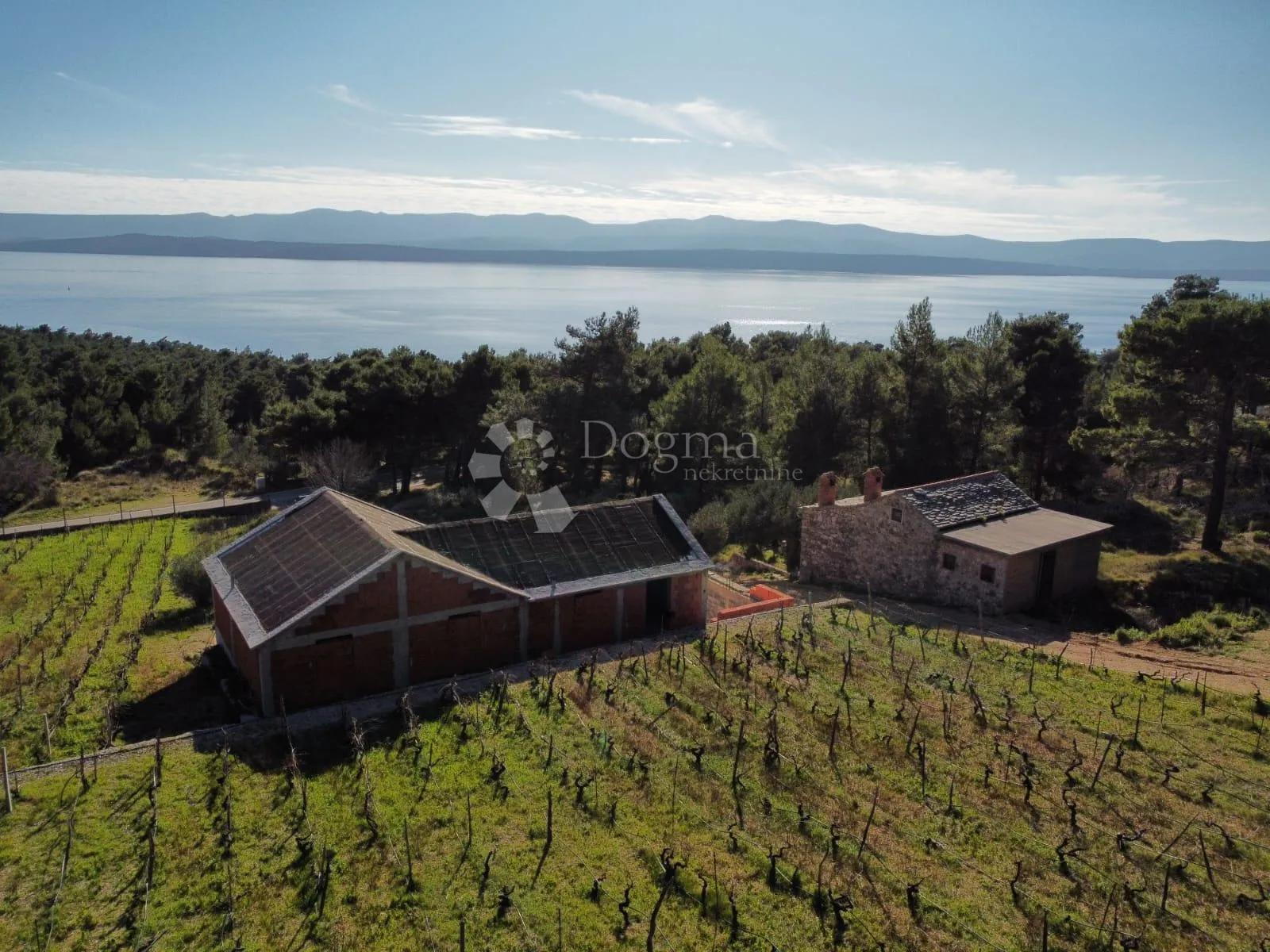 bol 2 kuće + vinograd od 9614m2 s top pogledom - slika 13