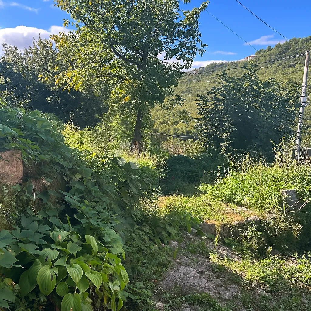 starina u gradskoj zoni - slika 7