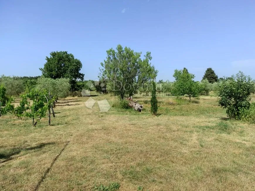 prekrasna stancija u okolici pule, s 10000 m² urbaniziranog zemljišta - slika 33