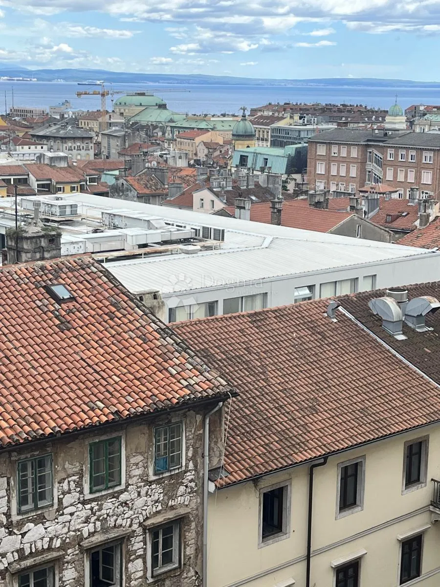 šarmantan stan u centru rijeke - slika 6