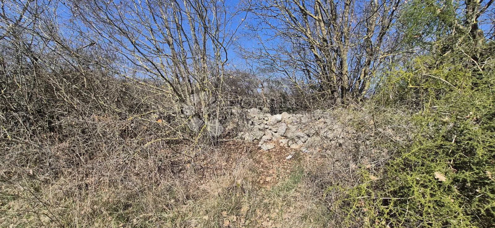 idealno zemljište za poljoprivredne kulture 5367 m2 - slika 12