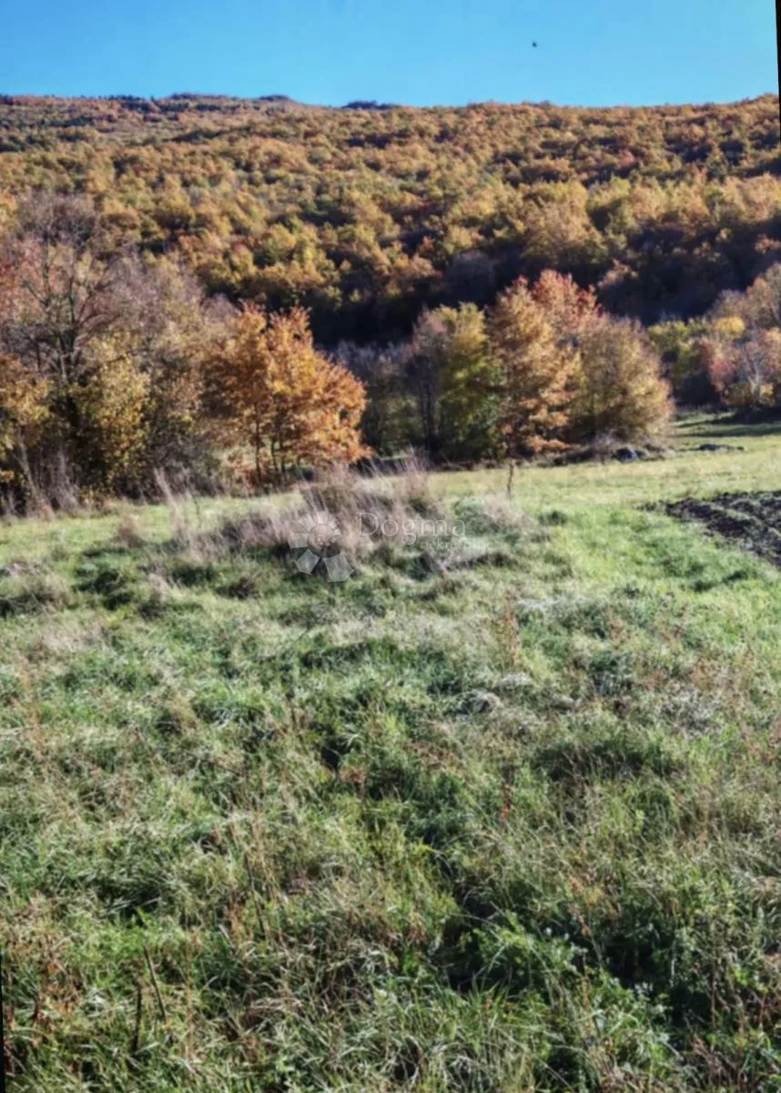 zemljište uz majerovo i tonkovic vrilo sinac - slika 2