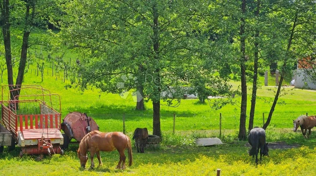 klanjec, kuća sa bazenom u netaknutoj prirodi - slika 36