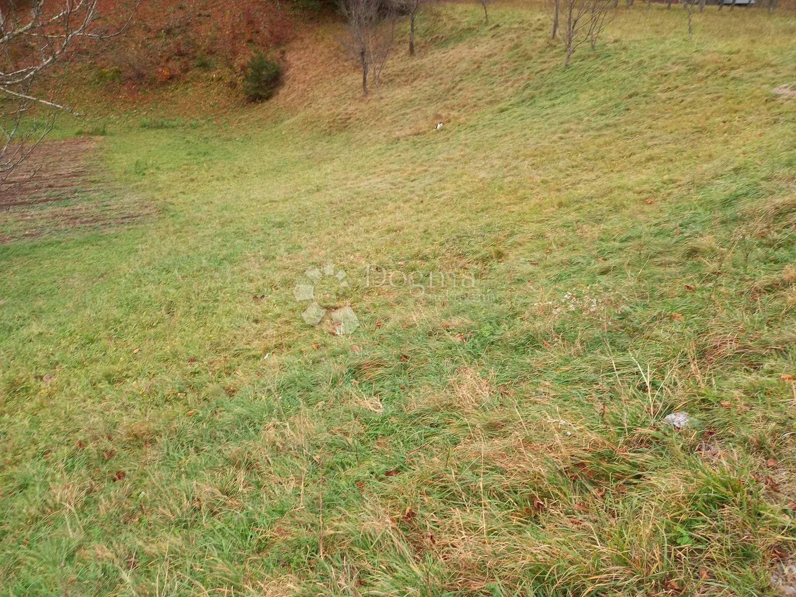 Gorski Kotar, Stari Laz, građevinsko zemljište - Stari Laz, Ravna Gora