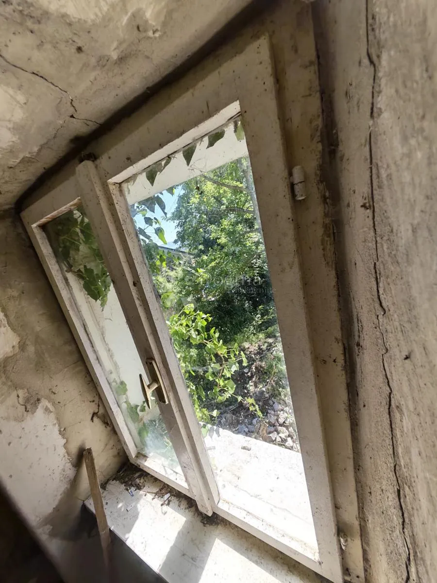 starina za potpunu adaptaciju - slika 12