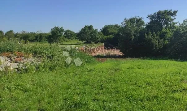 građevinsko zemljište kanfanar - slika 2