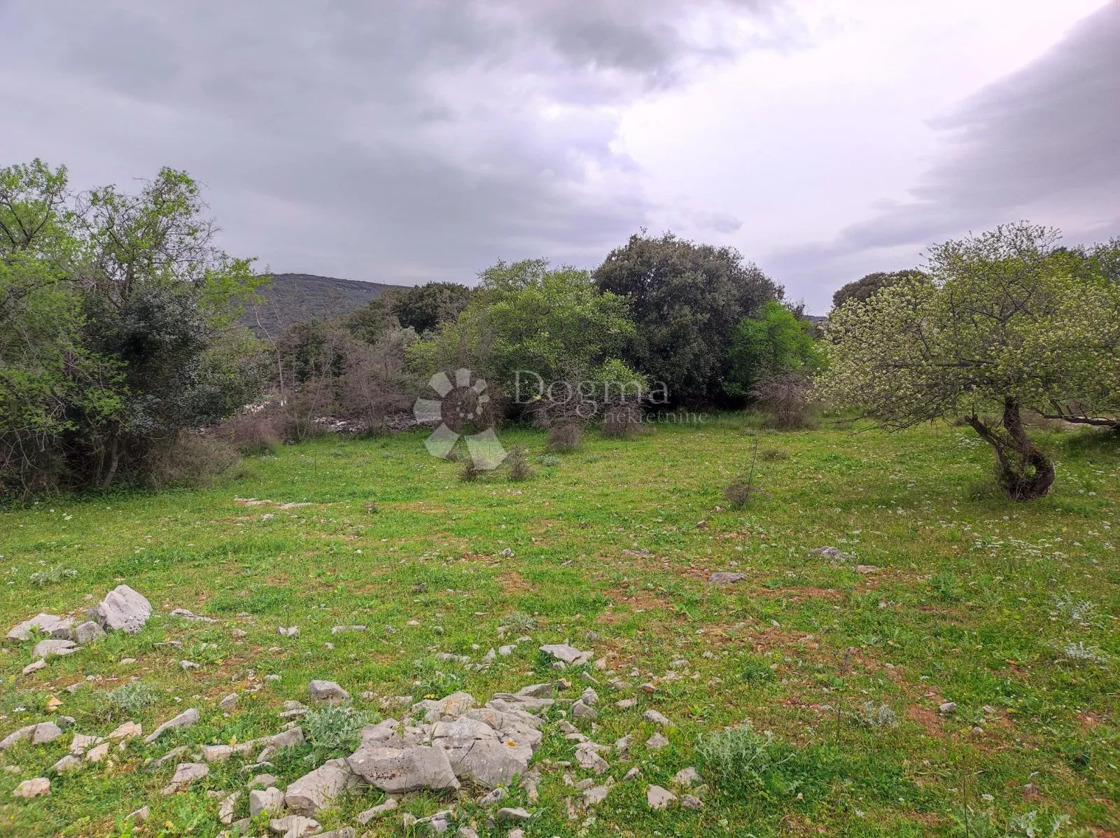 brač, selca – poljoprivredno zemljište 11.274 m² - slika 6